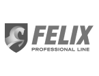 Бренд антифризов и масел FELIX
